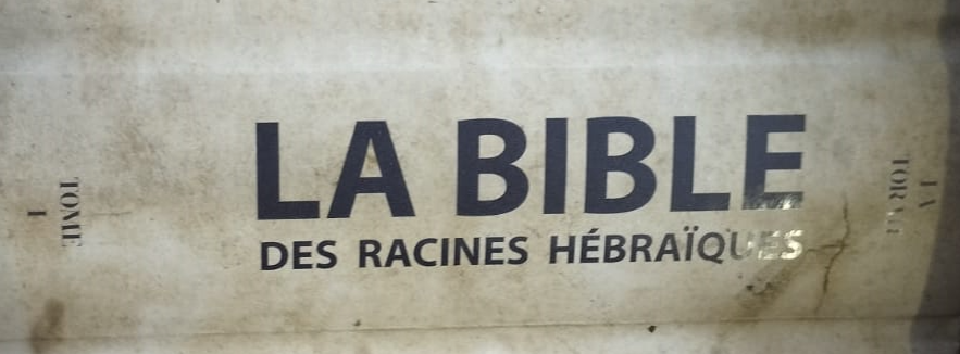 Bible des Racines Hébraïques Éditions Sh'ma